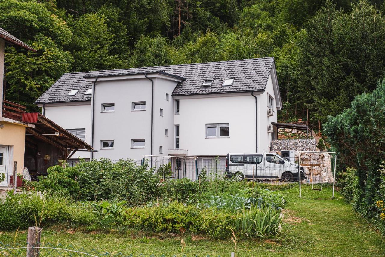 Apartments Rozalija 普雷德沃尔 外观 照片